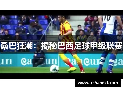 桑巴狂潮：揭秘巴西足球甲级联赛